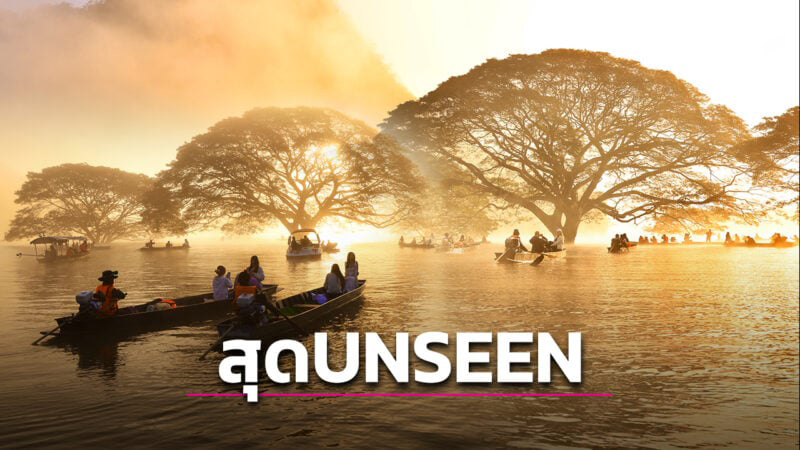 สุด Unseen ล่องเรือชมต้นฉำฉากลางน้ำ อายุกว่า 100 ปี เขื่อนแม่งัด เชียงใหม่